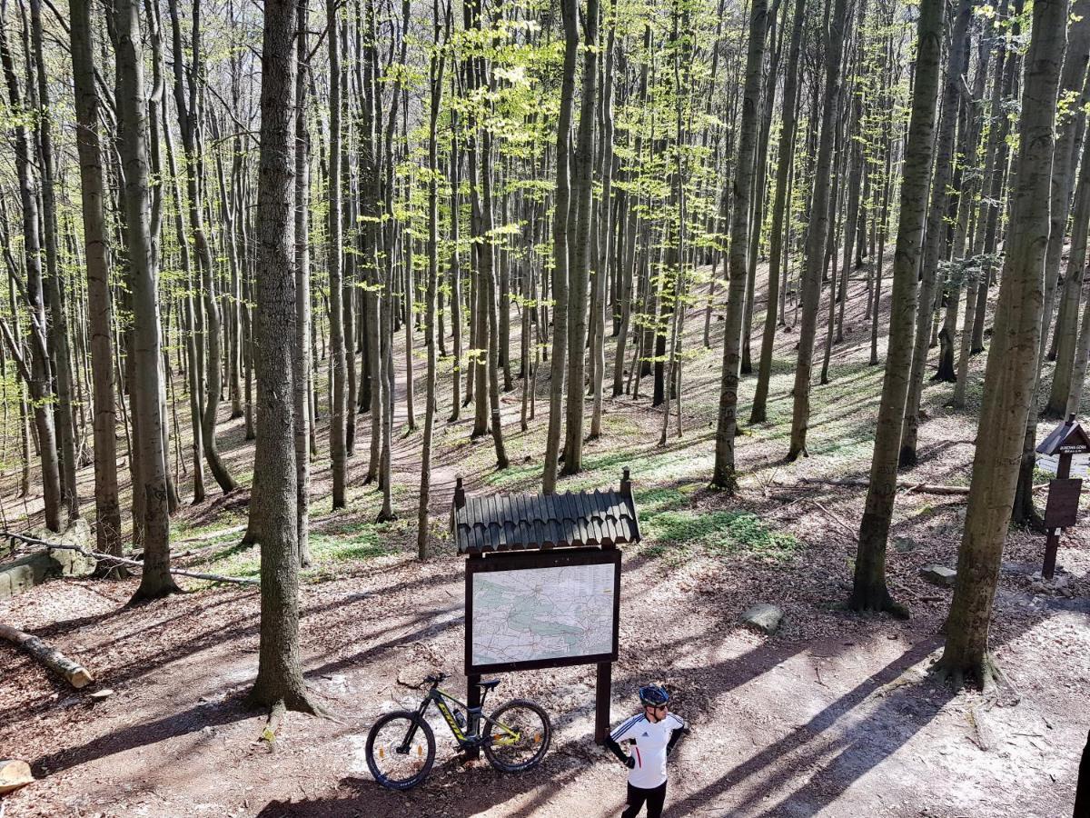 Agroturystyka Zrodelko Swieta Katarzyna  Esterno foto